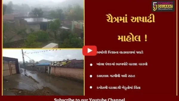 અમરેલી: ધોમધખતા તાપ વચ્ચે ધોધમાર વરસાદ વરસતા વાતાવરણમાં ઠંડક, જુઓ મૌસમનો બદલાયેલો મિજાજ