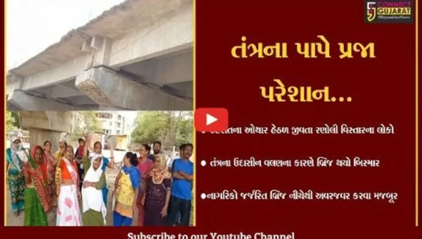 વડોદરા : રણોલી નજીક IPCL બ્રિજની હાલત અત્યંત બિસ્માર, તંત્ર પ્રત્યે સ્થાનિકોમાં રોષ…