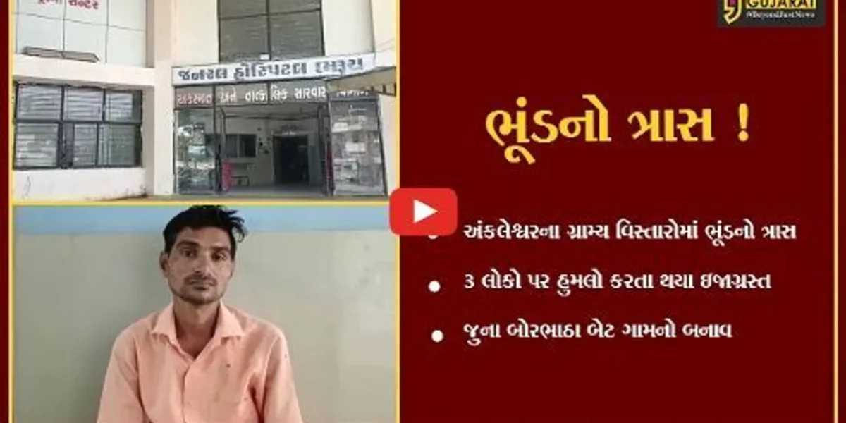 અંકલેશ્વર: જુના બોરભાઠા બેટ ગામે ખેતરમાં કામ કરતા ત્રણ લોકો પર ભૂંડે હુમલો કરતા ઇજાગ્રસ્ત