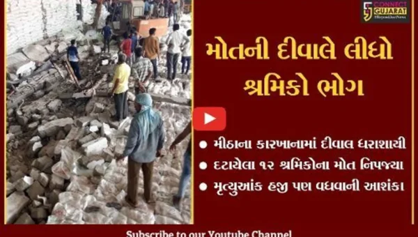 હળવદ: મીઠાના કારખાનાની દીવાલ ધરાશાયી થતા 12 શ્રમિકોના મોત,મોતના આંકડા વધવાની શક્યતા
