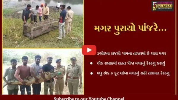વડોદરા : ડભોઇના રાજલી ગામ તળાવમાંથી એક જ સપ્તાહમાં સતત ત્રીજા મગરનું રેસ્ક્યુ…
