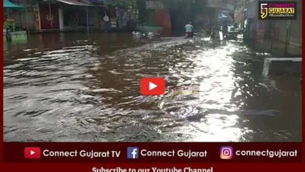 ભરૂચ : જંબુસર નગરપાલિકાની પ્રિમોન્સૂન કામગીરીની પોલ ખુલી, ઠેર – ઠેર પાણી ભરાયા