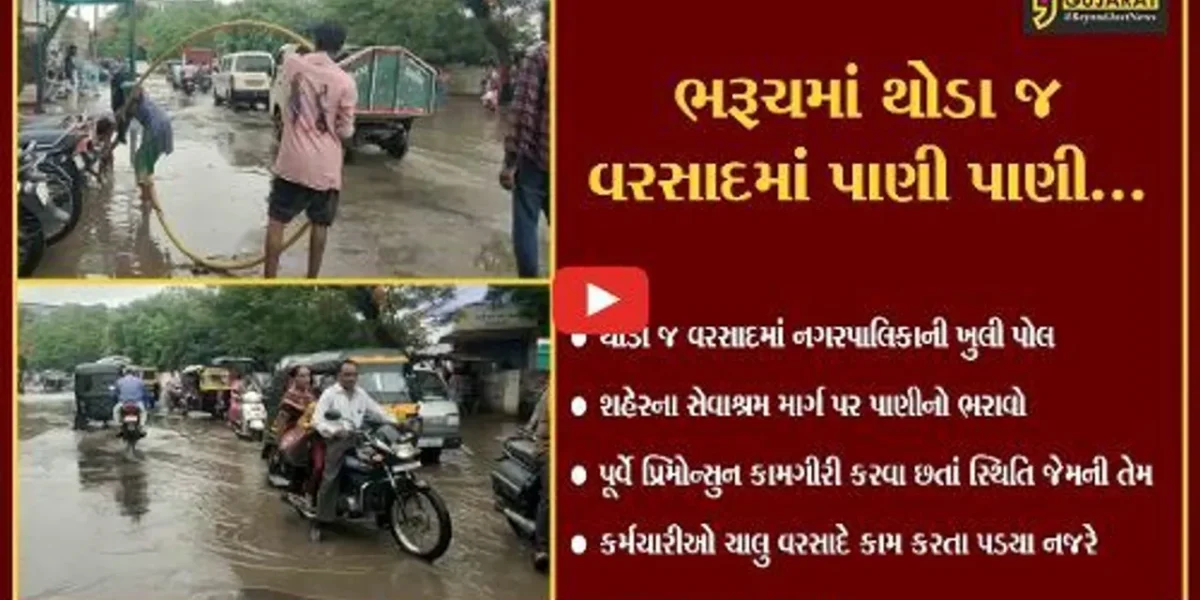ભરૂચ : પૂર આવેને પાળ બાંધવા જેવી સ્થિતિ, નગરપાલિકા કર્મચારીઓ ચાલુ વરસાદે કામ કરતા નજરે પડ્યા