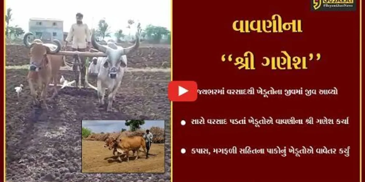 ગુજરાત : વાવણી લાયક વરસાદ વરસતા ખેડૂતોએ ચોમાસુ વાવેતરના કર્યા શ્રી ગણેશ…