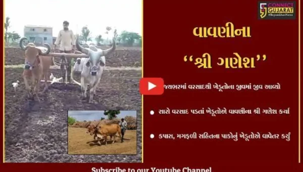 ગુજરાત : વાવણી લાયક વરસાદ વરસતા ખેડૂતોએ ચોમાસુ વાવેતરના કર્યા શ્રી ગણેશ…