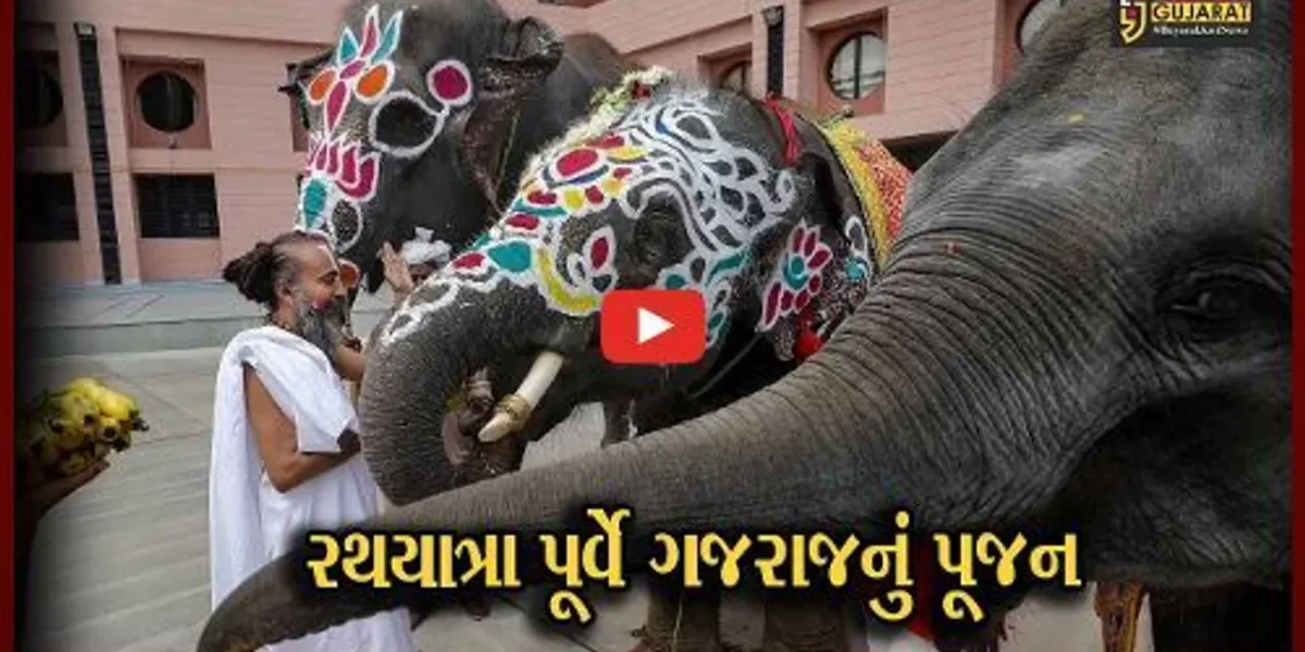 અમદાવાદ : શુભ કાર્યની શરૂઆત પહેલા ગજરાજની આગેવાનીમાં રથયાત્રા નીકળશે, જગન્નાથ મંદિર પાસે 14 હાથીનું પૂજન કરાયું
