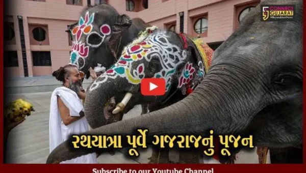 અમદાવાદ : શુભ કાર્યની શરૂઆત પહેલા ગજરાજની આગેવાનીમાં રથયાત્રા નીકળશે, જગન્નાથ મંદિર પાસે 14 હાથીનું પૂજન કરાયું