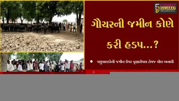 અંકલેશ્વર : અંદાડા ગામે ગૌચર જમીનમાં વૃક્ષારોપણ અને વોલ ઊભી કરાતા પશુપાલકોએ હોબાળો મચાવ્યો