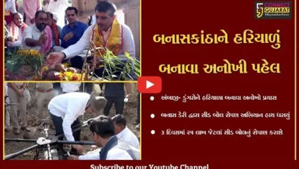 બનાસકાંઠા: અંબાજી ગબ્બર અને તેની આસપાસના ડુંગરાઓ હરીયાળા બનાવા બનાસ ડેરી દ્વારા એક કરોડ જેટલાં સીડ બોલ તૈયાર કર્યા.