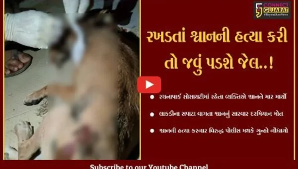 ભરૂચ : રખડતાં શ્વાનની હત્યા કરનાર વિરુદ્ધ સી’ ડિવિઝન પોલીસ મથકે નોંધાયો હત્યાનો ગુન્હો…