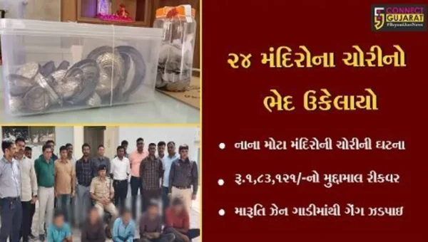 પાટણ : ચાણસ્મા હાઈવે પરથી મંદિરમાં ચોરી કરતી સક્રીય ગેંગ ઝડપાઇ, નાના મોટા ૨૪ મંદિરોનો લાખોનો સરસામાન જપ્ત