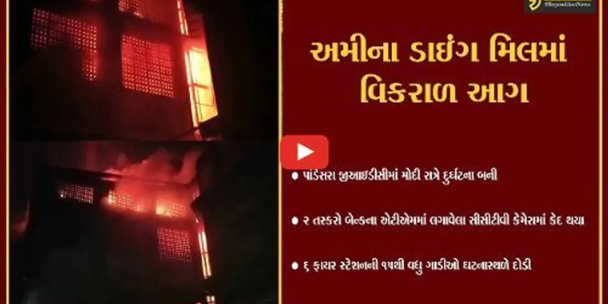 સુરત: પાંડેસરાની અમીના ડાઇંગ મિલમાં આગ ભભૂકી, સમયસર કર્મચારીઓ બહાર નીકળી જતા જાનહાનિ નહીં