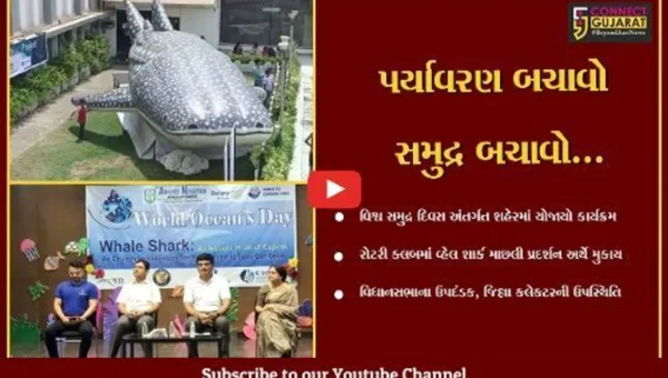 ભરૂચ : વિશ્વની સૌથી મોટી વ્હેલ શાર્ક માછલીને રોટરી ક્લબ ખાતે પ્રદર્શન અર્થે મુકાય…