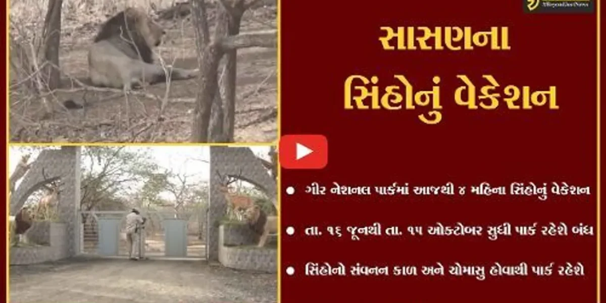 હવે, 4 મહિના સુધી પ્રવાસીઓ નહીં કરી શકે ગીર નેશનલ પાર્કમાં “સિંહ દર્શન”, જાણો કારણ..!