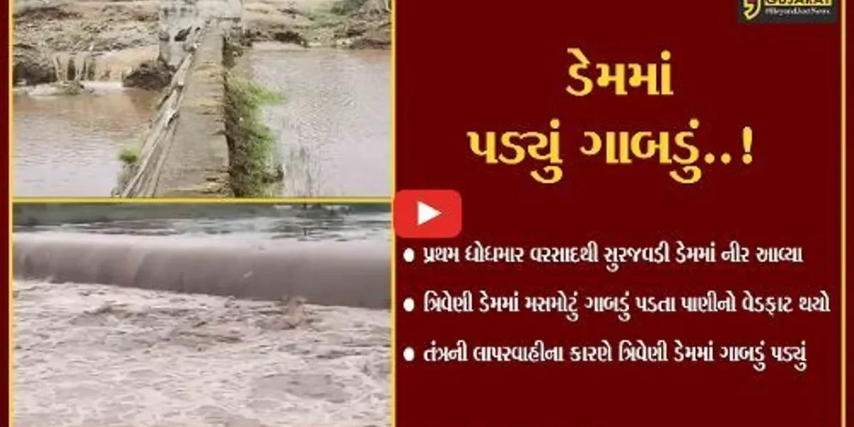 અમરેલી : ત્રિવેણી ચેકડેમમાં ગાબડું પડતા લાખો લિટર પાણીનો વેડફાટ, તંત્રની લાપરવાહી સામે આવી