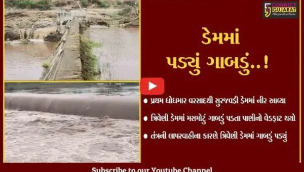 અમરેલી : ત્રિવેણી ચેકડેમમાં ગાબડું પડતા લાખો લિટર પાણીનો વેડફાટ, તંત્રની લાપરવાહી સામે આવી