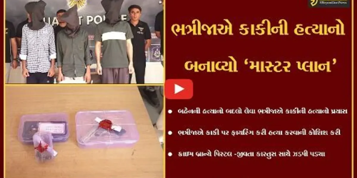 અમદાવાદ : બહેનની હત્યાનો બદલો લેવા ભત્રીજાએ કર્યું કાકી ઉપર ફાયરિંગ, ભત્રીજા સહિત 3 લોકોની ધરપકડ