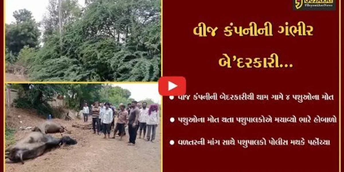 ભરૂચ : થામ ગામે વીજ કરંટ લાગતાં 4 પશુઓના મોત, વીજ કંપનીની બેદરકારી સામે પશુપાલકોમાં રોષ