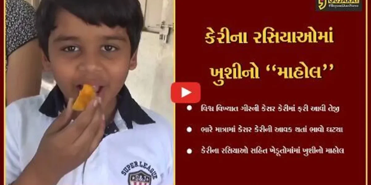 ગીર સોમનાથ : તાલાળા મેંગો યાર્ડમાં કેસર કેરીની ભારે આવક, 50% ભાવ ગગડતા કેરીના રસિયાઓમાં ખુશી…