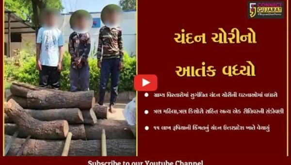 સાબરકાંઠા : ઇડરના ગ્રામ્ય વિસ્તારોમાં લાખોનું ચંદનચોરીનું કૌભાંડ ઝડપાયું,3 આરોપીઓ પોલીસ ગિરફતમાં,અન્ય 7 ફરાર