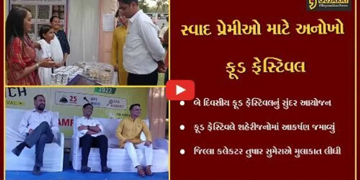 ભરૂચ : SVMIT કોલેજ કેમ્પસમાં ફૂડ ફેસ્ટિવલનું આયોજન, જિલ્લા કલેકટરે મુલાકાત લીધી