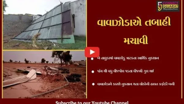 સાબરકાંઠા : બે તાલુકાના ત્રણ ગામમાં વાવાઝોડુ ત્રાટકતા આર્થિક નુકસાન, એક પશુનું મોત બે પશુને ઇજા