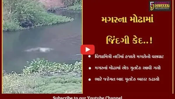 વડોદરા : મગરના મોઢામાં આવી ગયો યુવકનો મૃતદેહ, 3થી વધુ મગરો વચ્ચે ઘેરાયાલો હતો,જુઓ પછી શું થયું