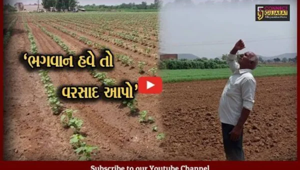 સાબરકાંઠા : ખેડૂતોની આજીજી..!વરસાદની રાહ જોતા પાકને ભારે નુકસાન થવાની ભીતિ