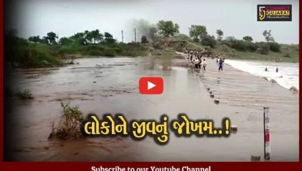 અમરેલી : ધોધમાર વરસાદ વરસતા શેત્રુંજી નદીમાં પૂર આવ્યું, કોઝ-વે પર પાણી ફરી વળતાં માર્ગ બંધ
