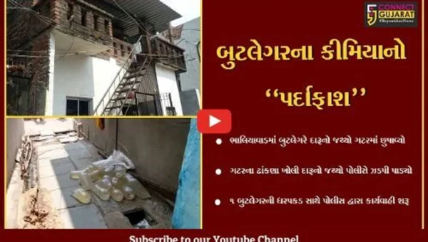 ભરૂચ : દારૂ સંતાડવા માટે બુટલેગરે અપનાવ્યો નવો કીમિયો, જુઓ ભાલિયાવાડના દ્રશ્યો…