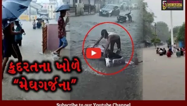 નર્મદા: રાજપીપળા સહિત આસપાસના વિસ્તારોમાં અનરાધાર વરસાદ, લોકોના ઘરમાં પાણી ફરી વળ્યા,સાંસદ મનસુખ વસાવાએ અસરગ્રસ્ત વિસ્તારની લીધી મુલાકાત