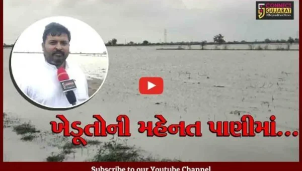 ભરૂચ : વાગરા તાલુકાના ગ્રામ્ય વિસ્તારોમાં વરસાદે સર્જી તારાજી, ખેડૂતોનો પાક નષ્ટ થવાના આરે….