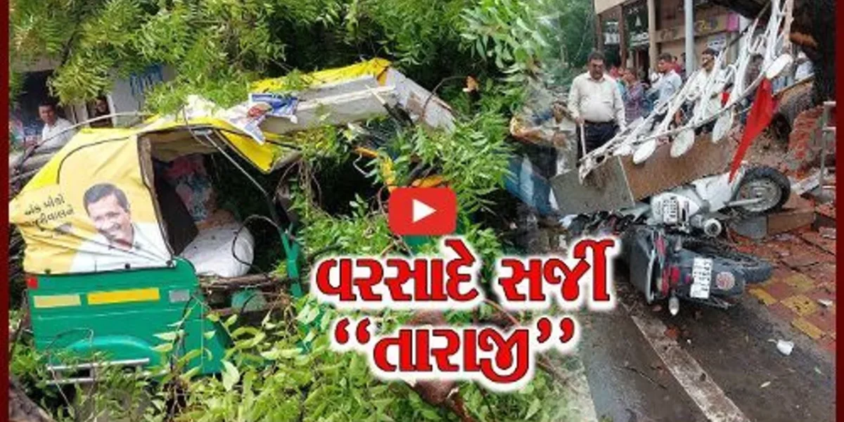 આણંદ : અવિરત વરસાદના કારણે રોડ-રસ્તા બિસ્માર, તો વૃક્ષો ધરાશાયી થતાં અનેક વાહનોને નુકશાન