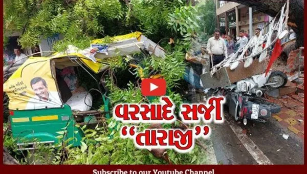 આણંદ : અવિરત વરસાદના કારણે રોડ-રસ્તા બિસ્માર, તો વૃક્ષો ધરાશાયી થતાં અનેક વાહનોને નુકશાન