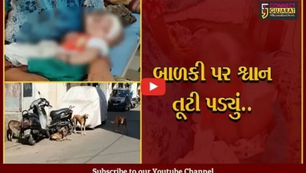 વડોદરામાં સમતા વિસ્તારમાં શ્વાને બાળકીનું માથું ફાડી નાખ્યું, જાણો પછી શું થયુ..?