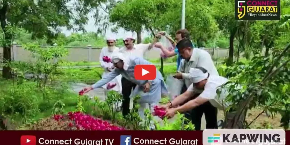 અંકલેશ્વર : મર્હુમ અહેમદ પટેલની કબરની અમરેલીના ધારાસભ્ય વીરજી ઠુમ્મરે લીધી મુલાકાત