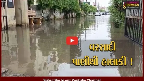 ભરૂચ: ઝાડેશ્વર વિસ્તારમાં આવેલ મેઘદૂત ટાઉનશીપમાં વરસાદી પાણીના ભરાવાથી સ્થાનિકોને હાલાકી