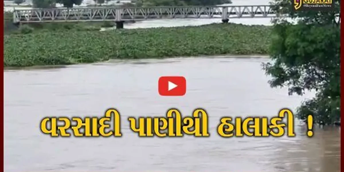 ભરૂચ: જંબુસરના મગણાદની ભાગોળમાં ઢાઢર નદીના પાણી પ્રવેશ્યા,ગ્રામજનોને હાલાકી