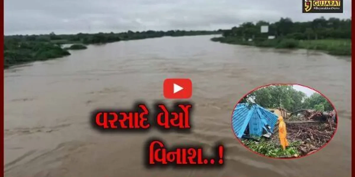 સુરત : વરસાદે વિરામ લીધા બાદ જિલ્લાના ઠેરઠેર રસ્તાઓ તૂટ્યા તો ક્યાક વૃક્ષોનું શીર્ષાશન, જુઓ તબાહીના દ્રશ્યો