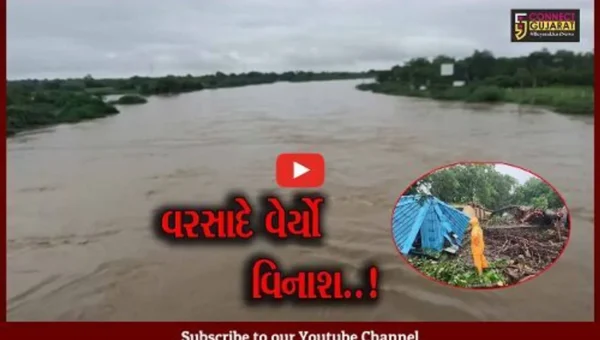 સુરત : વરસાદે વિરામ લીધા બાદ જિલ્લાના ઠેરઠેર રસ્તાઓ તૂટ્યા તો ક્યાક વૃક્ષોનું શીર્ષાશન, જુઓ તબાહીના દ્રશ્યો