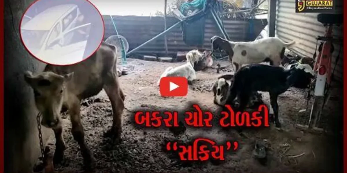 વડોદરા : કરજણના સાયર ગામે કાર લઈને ત્રાટકી બકરા ચોર ટોળકી, સમગ્ર ઘટના CCTVમાં કેદ…