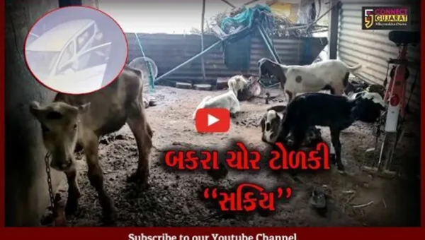 વડોદરા : કરજણના સાયર ગામે કાર લઈને ત્રાટકી બકરા ચોર ટોળકી, સમગ્ર ઘટના CCTVમાં કેદ…