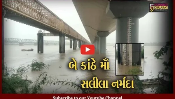 ભરૂચ : ગોલ્ડન બ્રિજ ખાતે નર્મદાના જળસ્તરમાં પણ વધારો, જળ સપાટી 17 ફૂટે સ્થિર