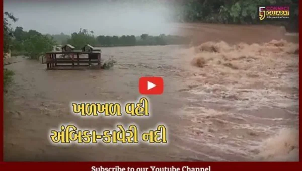 નવસારી : અંબિકા અને કાવેરી નદીમાં ધોધમાર વરસાદના પગલે નવા નીર, અગમચેતીના ભાગરૂપે તંત્ર એલર્ટ