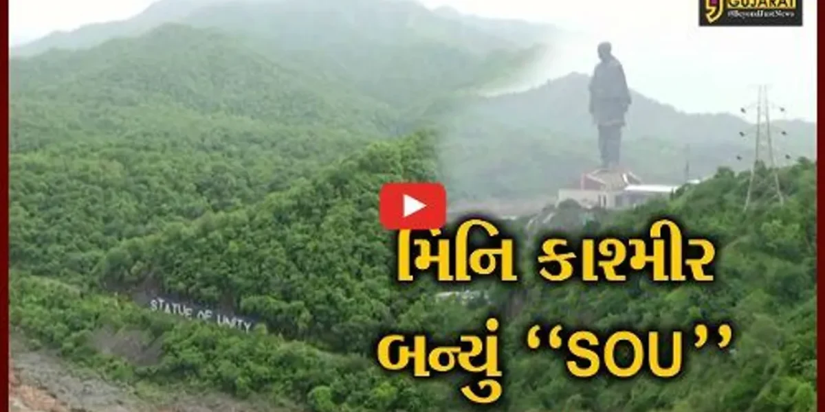 નર્મદા : મેઘમહેર થતાં SOU નજીક પ્રકૃતિ સોળે કળાએ ખીલી ઉઠી, પ્રાકૃતિક સૌંદર્યનો નજારો માણવા પ્રવાસીઓ ઉમટ્યા
