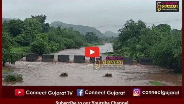 ભરૂચ : નેત્રંગના બલદવા, પીંગોટ-ધોલી ડેમની પાણીની સપાટીમાં સતત વધારો…