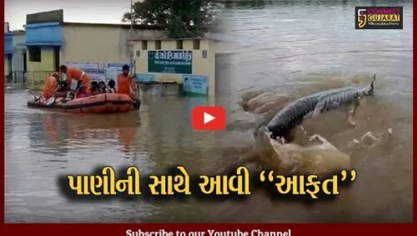 મહારાષ્ટ્ર : ચંદ્રાપુરના પટાલા ગામે પૂર આવતા ઘરોમાં માછલાં અને સરિસૃપો તણાઇ આવ્યા, જુઓ દ્રશ્યો