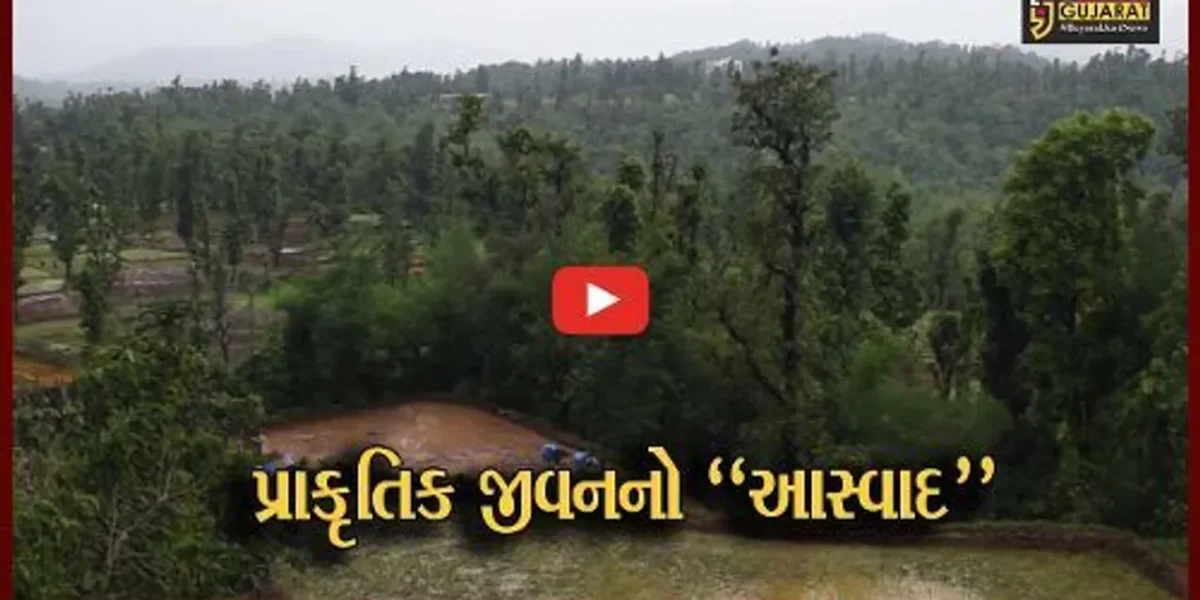 દેશના પ્રથમ પ્રાકૃતિક જિલ્લા ડાંગમાં મેઘમહેરથી કુદરતી સોંદર્ય ખીલી ઉઠ્યું, ખેડૂતોએ પણ કર્યો પ્રાકૃતિક ખેતીનો પ્રારંભ…