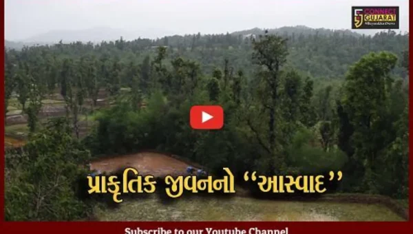 દેશના પ્રથમ પ્રાકૃતિક જિલ્લા ડાંગમાં મેઘમહેરથી કુદરતી સોંદર્ય ખીલી ઉઠ્યું, ખેડૂતોએ પણ કર્યો પ્રાકૃતિક ખેતીનો પ્રારંભ…