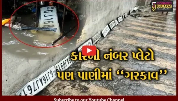 ભરૂચ : કલેક્ટર કચેરી નજીક રેલ્વે ગરનાળામાં પાણીની થપાટ લાગતાં 20થી વધુ કારની નંબર પ્લેટ તૂટી…